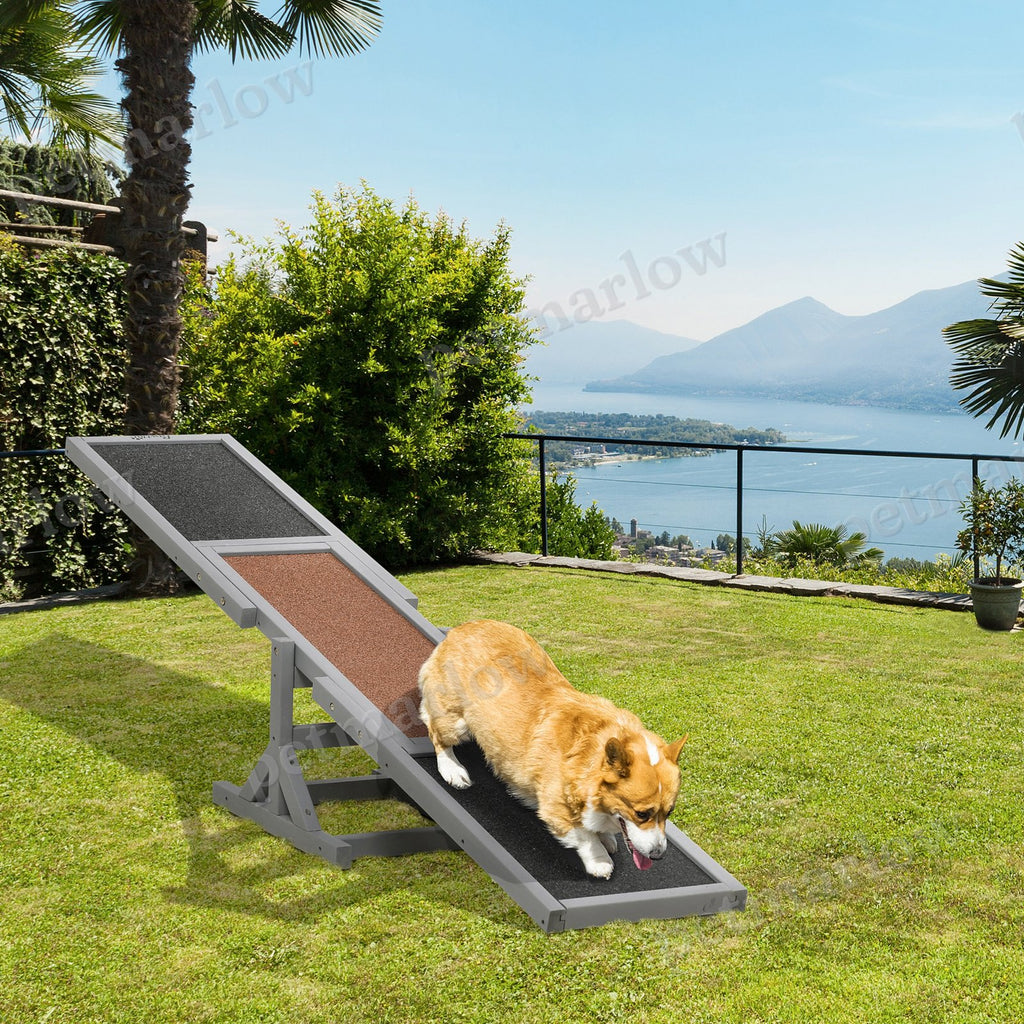 Dog Agility Seesaw for Training and Exercise – view 6