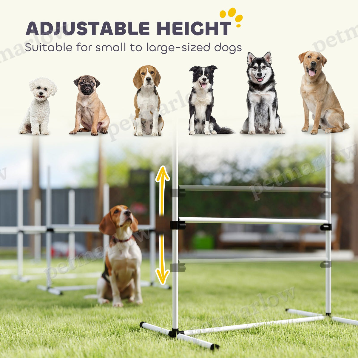 Dog Agility Set with Adjustable Jumps and Carry Bag – view 5