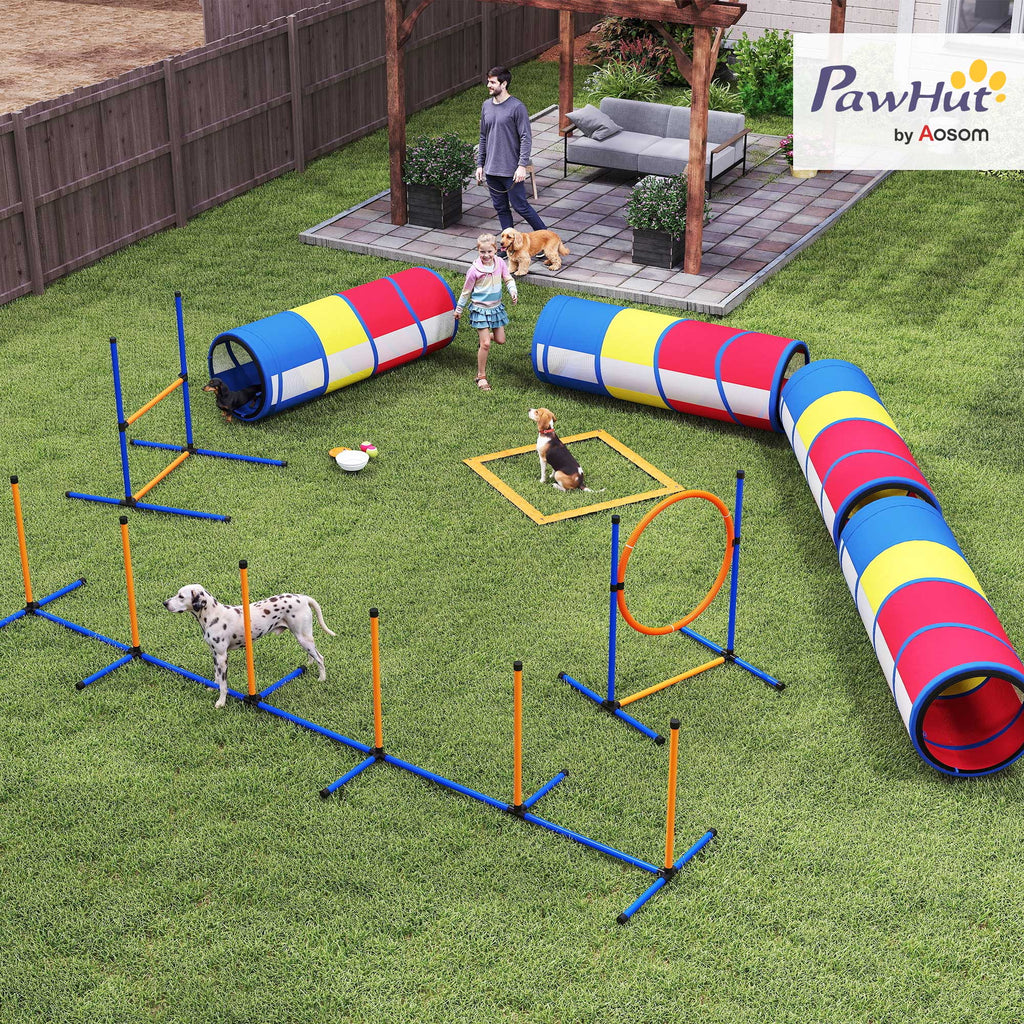 Dog Agility Training Equipment Set