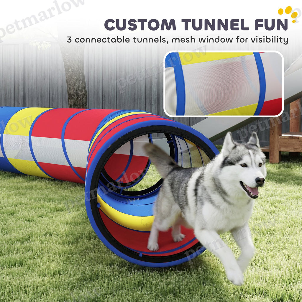 Dog Agility Training Equipment Set – view 3