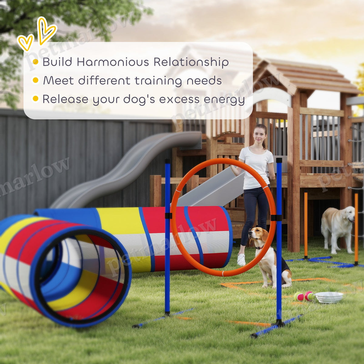 Dog Agility Training Equipment Set – view 4