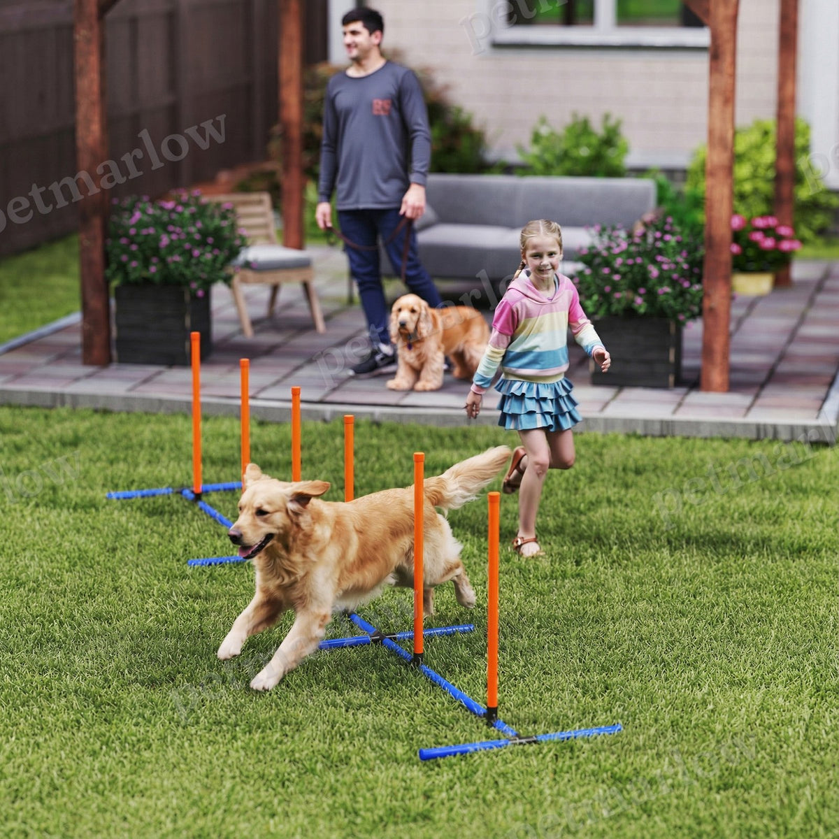 Dog Agility Training Equipment Adjustable Poles – view 6
