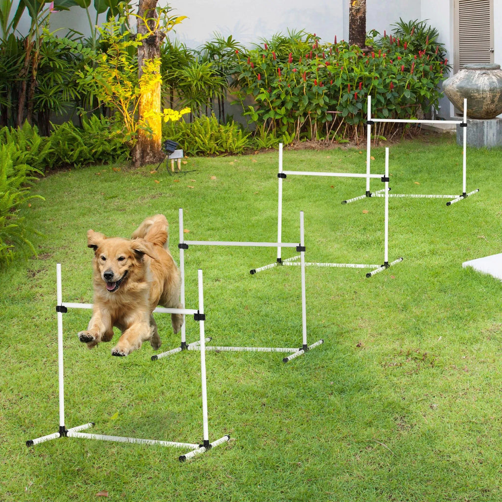 Dog Agility Training Equipment for Jumping Exercises