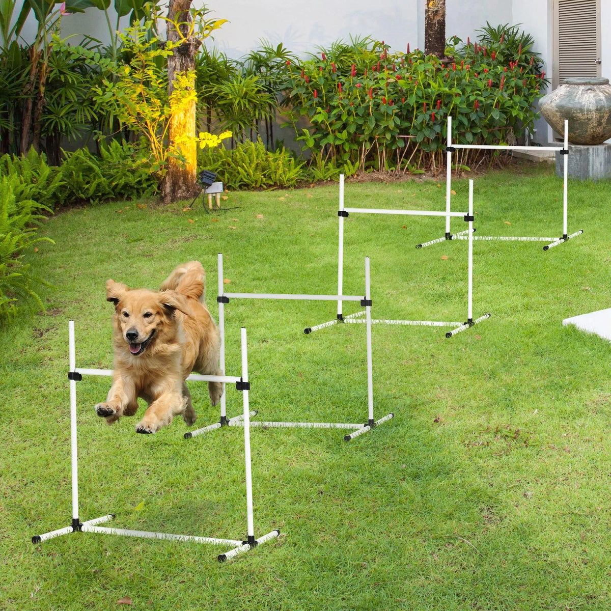 Dog Agility Training Equipment for Jumping Exercises
