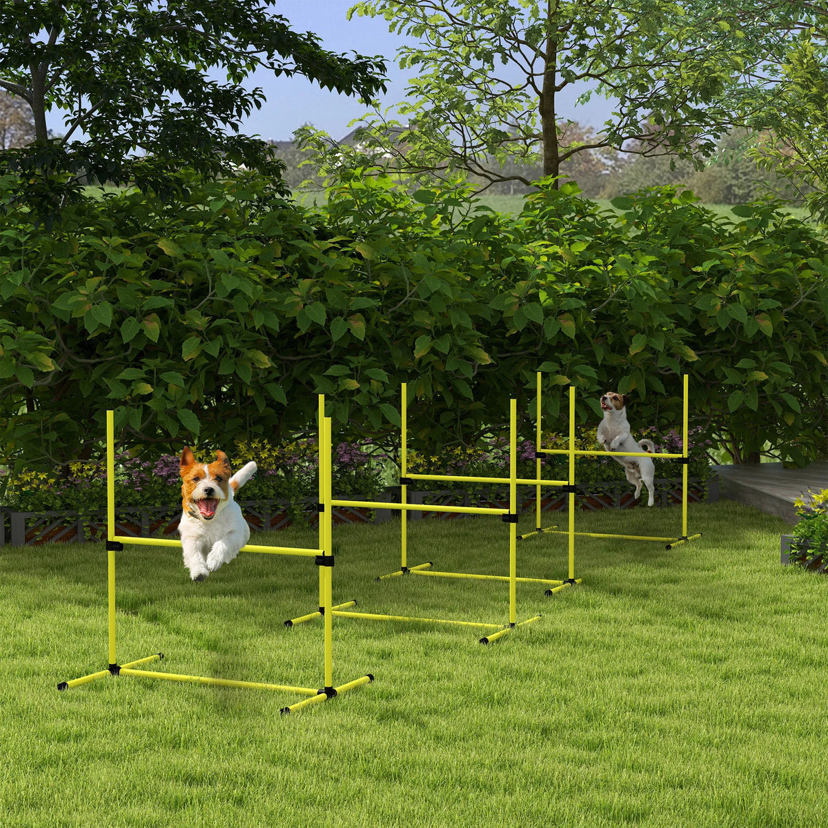 Dog Agility Training Equipment for Jumping Exercises