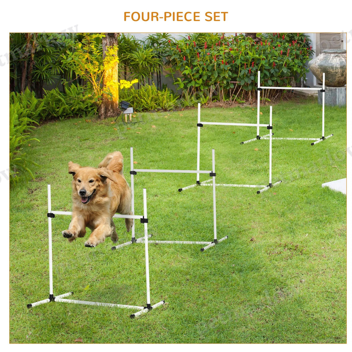 Dog Agility Training Equipment for Jumping Exercises – view 4