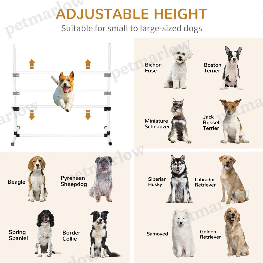 Dog Agility Training Equipment for Jumping Exercises – view 6
