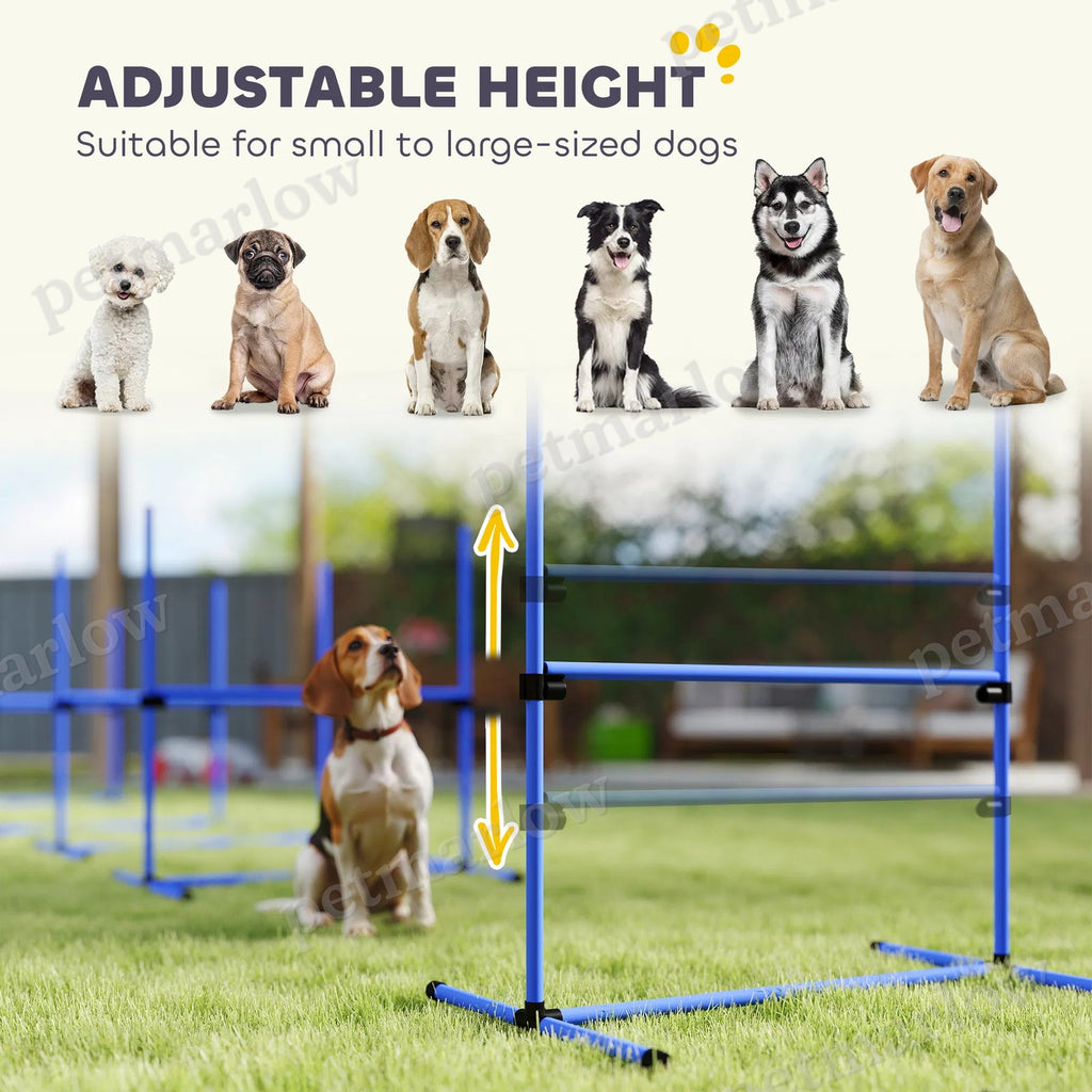 Dog Agility Training Equipment Set with Adjustable Jump Bars – view 4