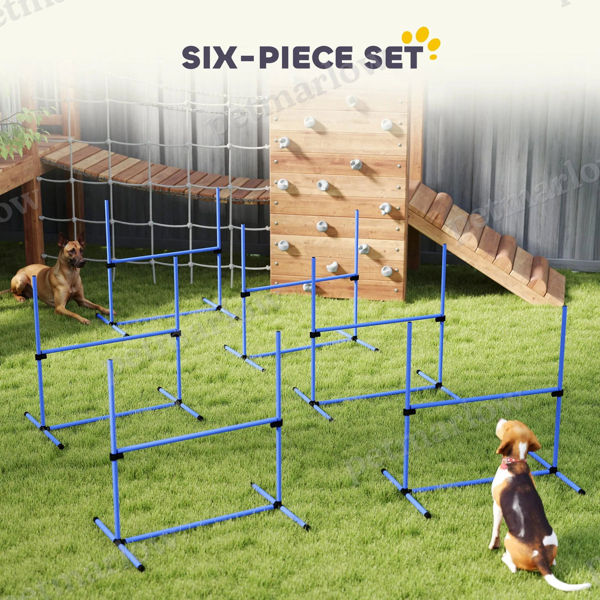 Dog Agility Training Equipment Set with Adjustable Jump Bars – view 5