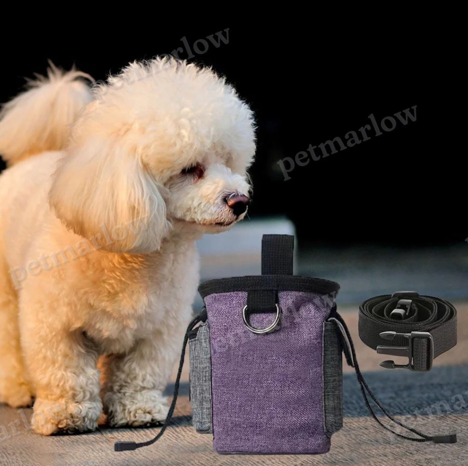 Dog Bag with Collapsible Bowl - Portable Bag for Snacks and Accessories – view 4