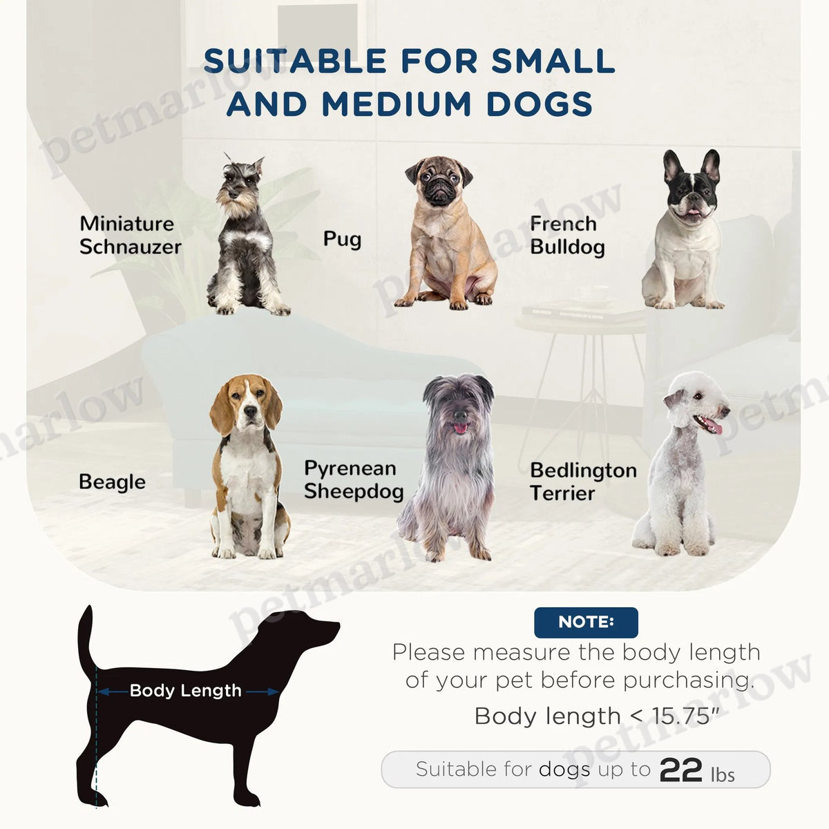 Dog Bed Pet Sofa with Storage for Small Dogs – view 3