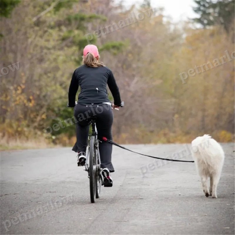Dog Bike Leash with Suspension – view 5