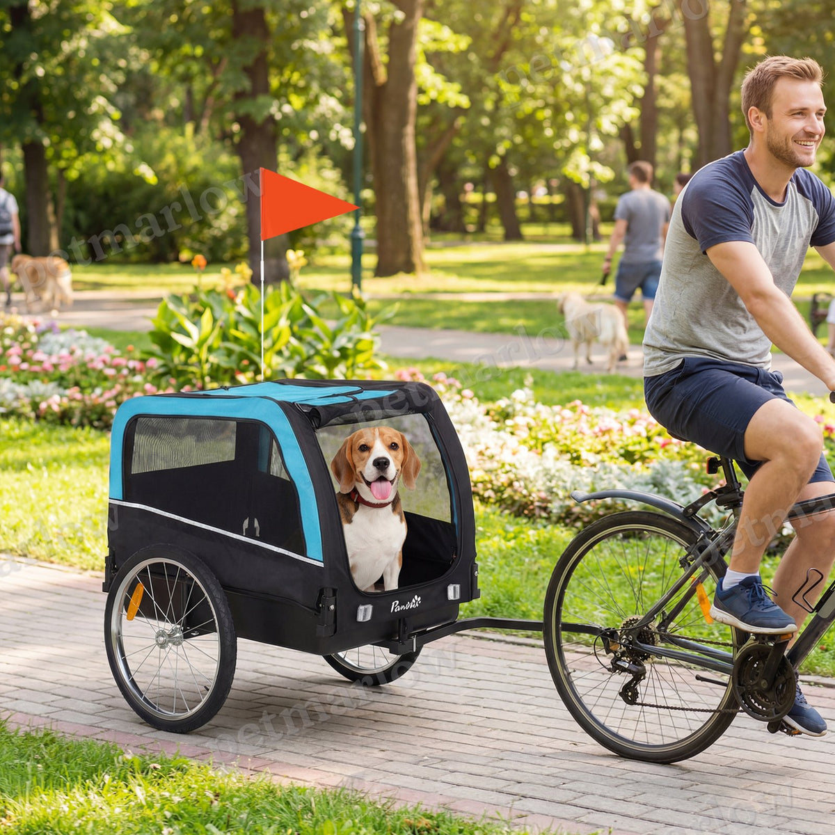 Dog Bike Trailer for Safe and Smooth Rides