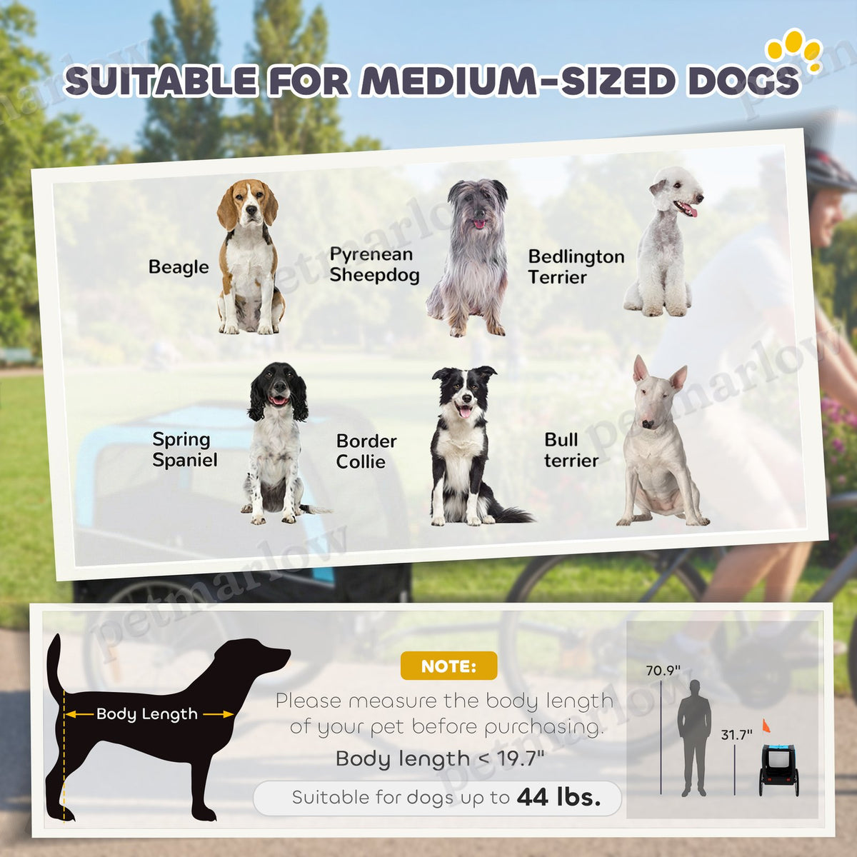 Dog Bike Trailer for Safe and Smooth Rides