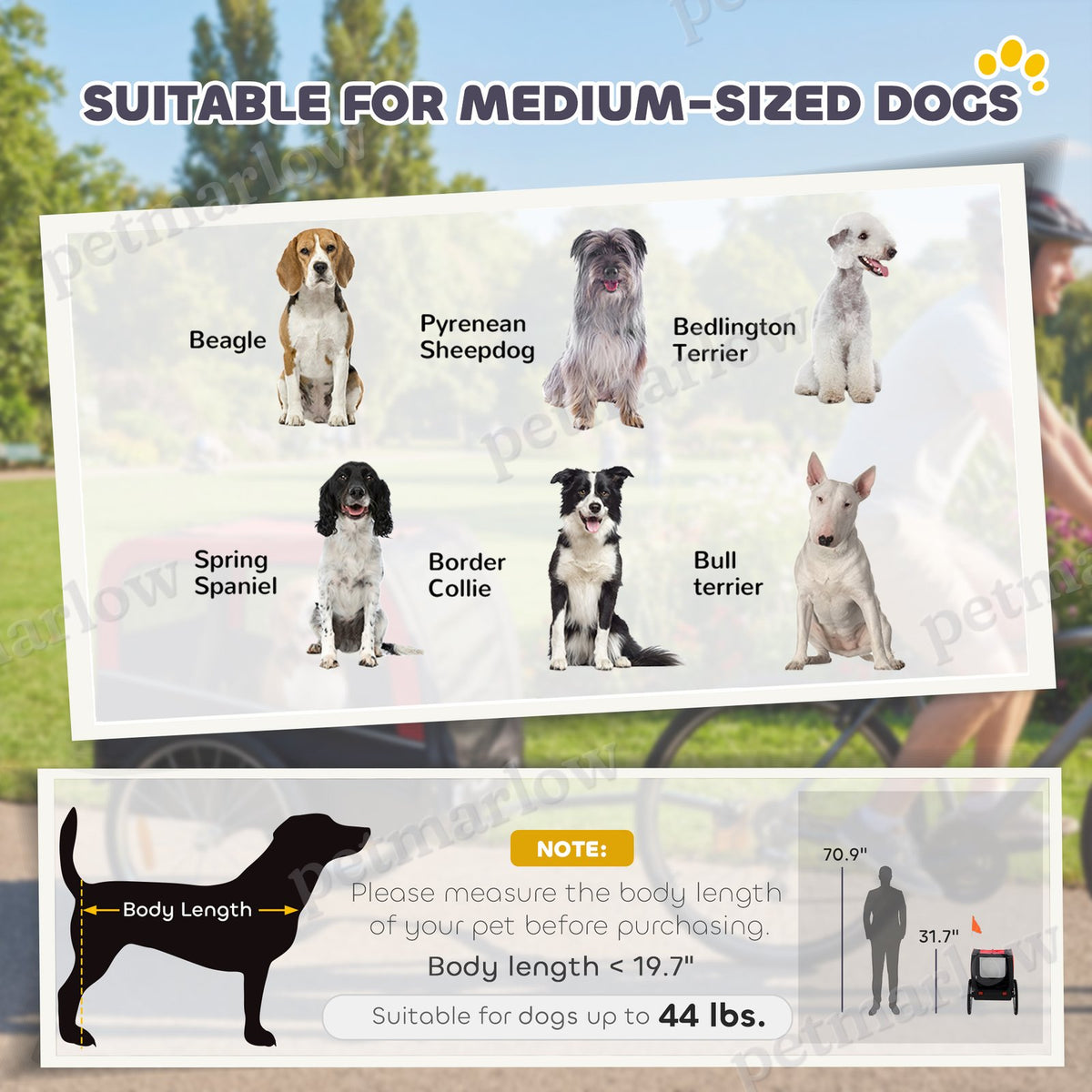 Dog Bike Trailer with 20" Air Tires – view 4