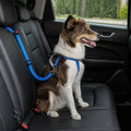 Dog Car Safety Belt – Dark Blue