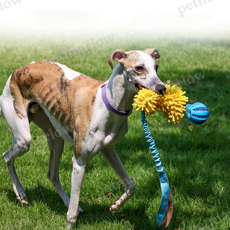 Dog Chew Rope Colorful Dog Tug Toy Elastic Drawstring Pet Chew Toy – view 5