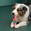 Dog Chew Toy With Teethers - Interactive Chew Toy For Dogs – Pink