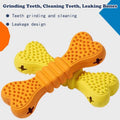 Dog Chew Toys for Dental Care - Two Pack