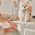 Dog Collar Leather Hand Holding Rope Dog Leash Collar Pet Small And Medium Size – Blue / XS