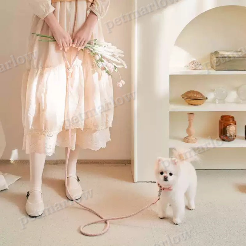 Dog Collar Leather Hand Holding Rope Dog Leash Collar Pet Small And Medium Size – view 5