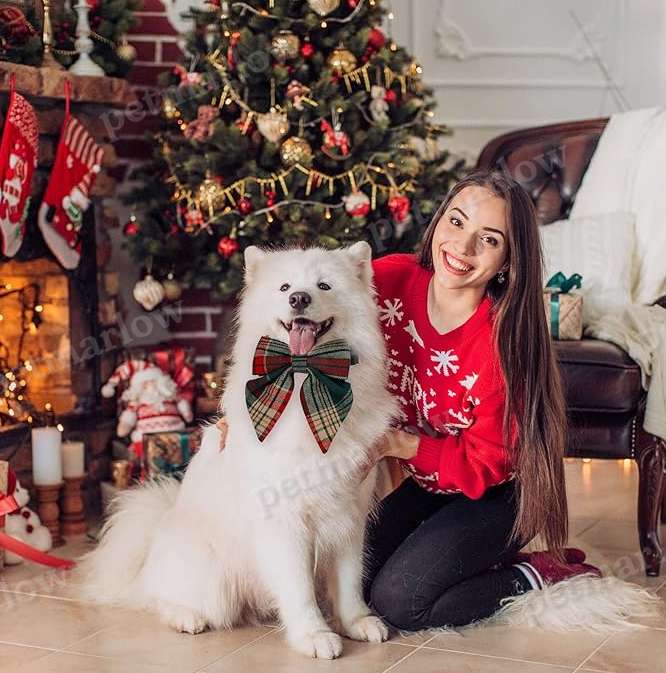 Dog Collar with Checkered Pattern and Bow for Christmas and Festive Occasions – view 6