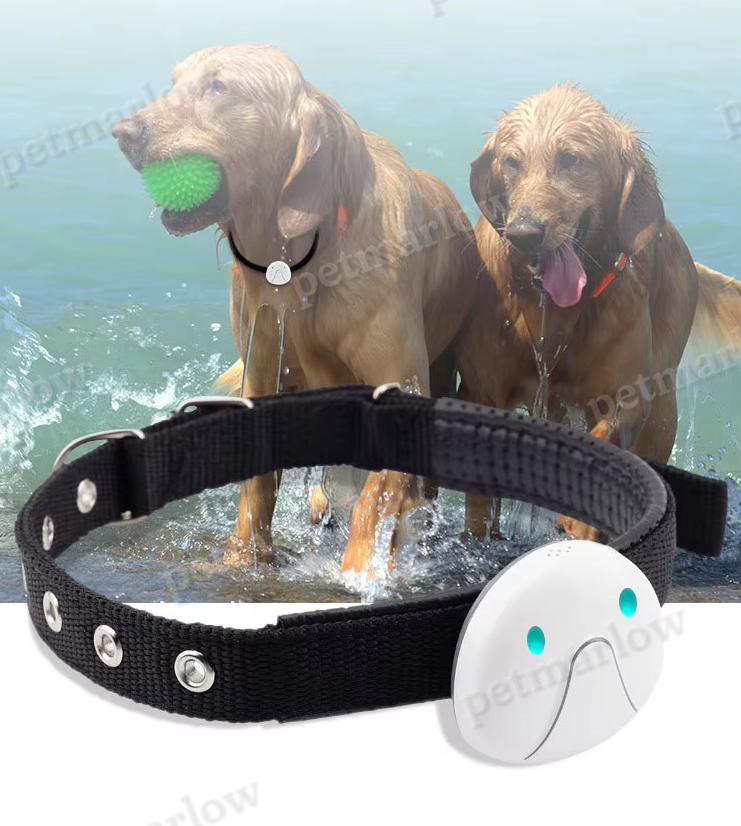 Dog Collar with GPS Tracker – Easy to Attach and Reliable – view 4