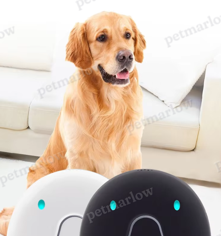Dog Collar with GPS Tracker – Easy to Attach and Reliable – view 5