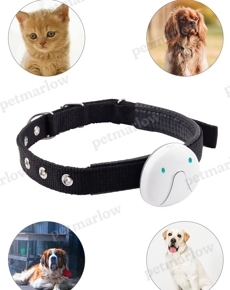 Dog Collar with GPS Tracker – Easy to Attach and Reliable – view 6