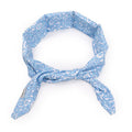 Dog Cool Bandanas Detachable and Washable Dog Cooling Scarf – Blue / S