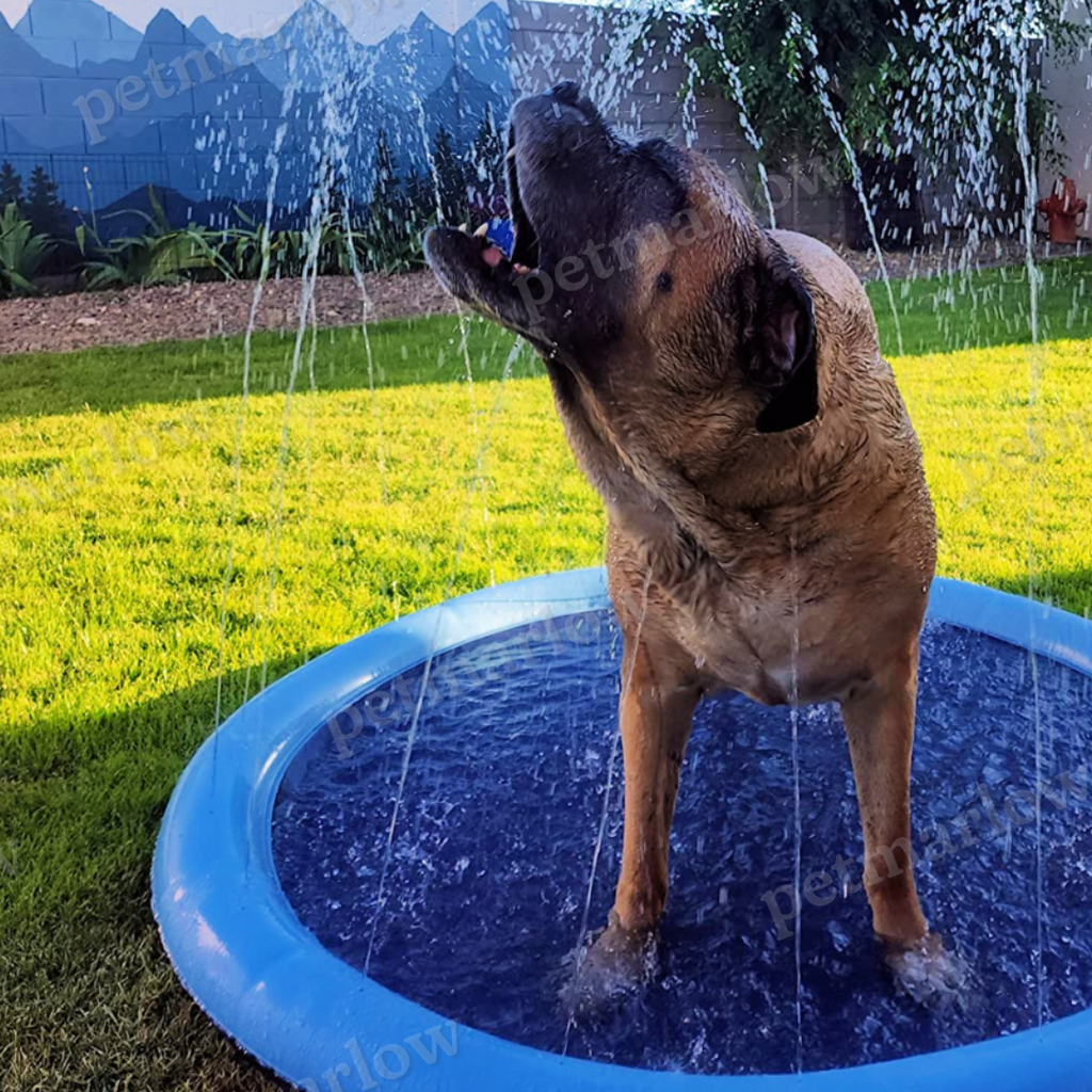Dog Cooling Sprinkler Pad – view 2