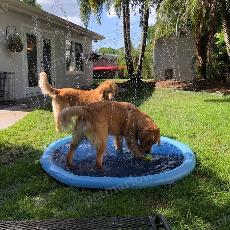 Dog Cooling Sprinkler Pad – view 3