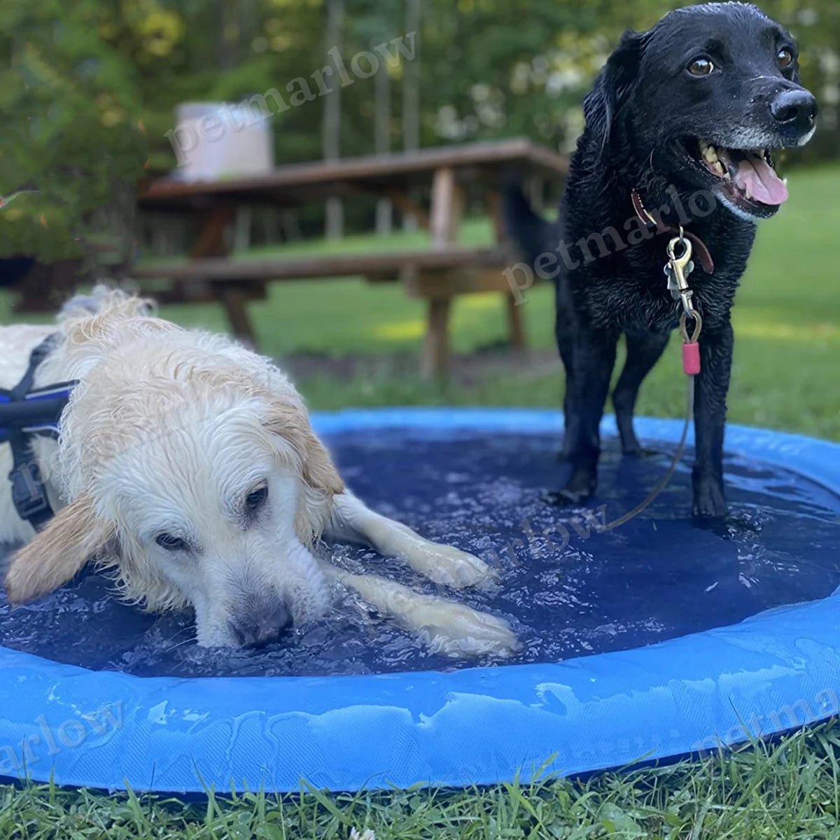 Dog Cooling Sprinkler Pad – view 4