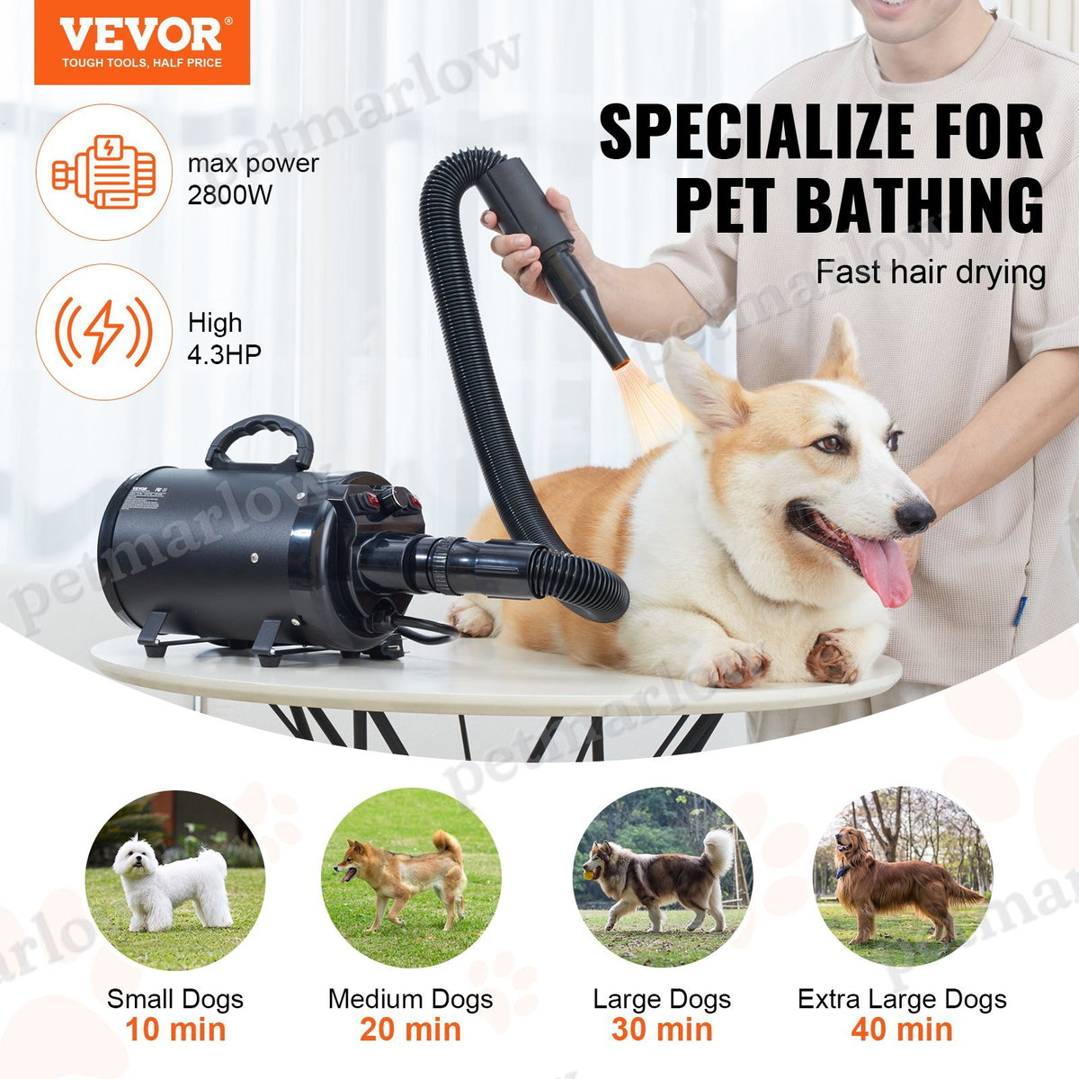 Dog Blow Dryer with Adjustable Speed and Temperature Control – view 3