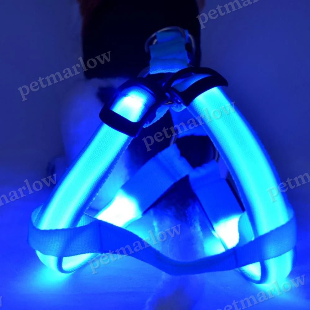 Dog Harness with Light Function – view 6