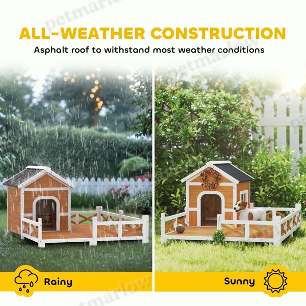 Dog House – view 3