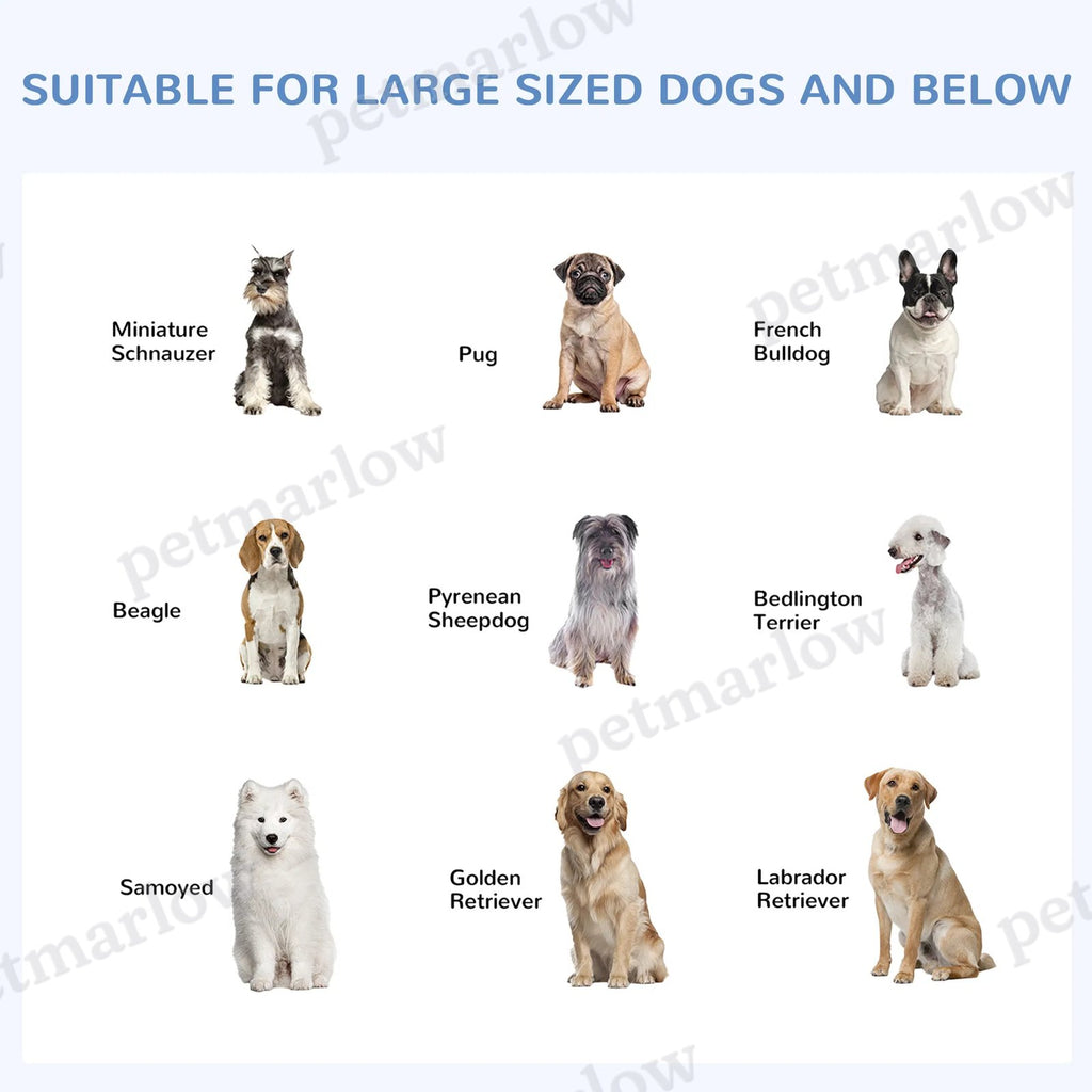 Dog Kennel Outdoor Run with Roof & Lockable Door – view 3