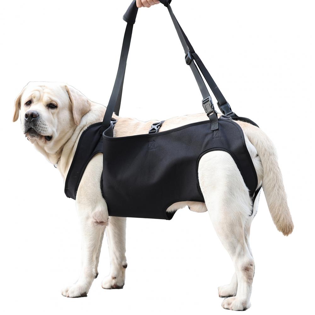 Dog Lift Harness For Large Dogs Sling Dog Walking Assistance Adjustable Pet Support Harness
