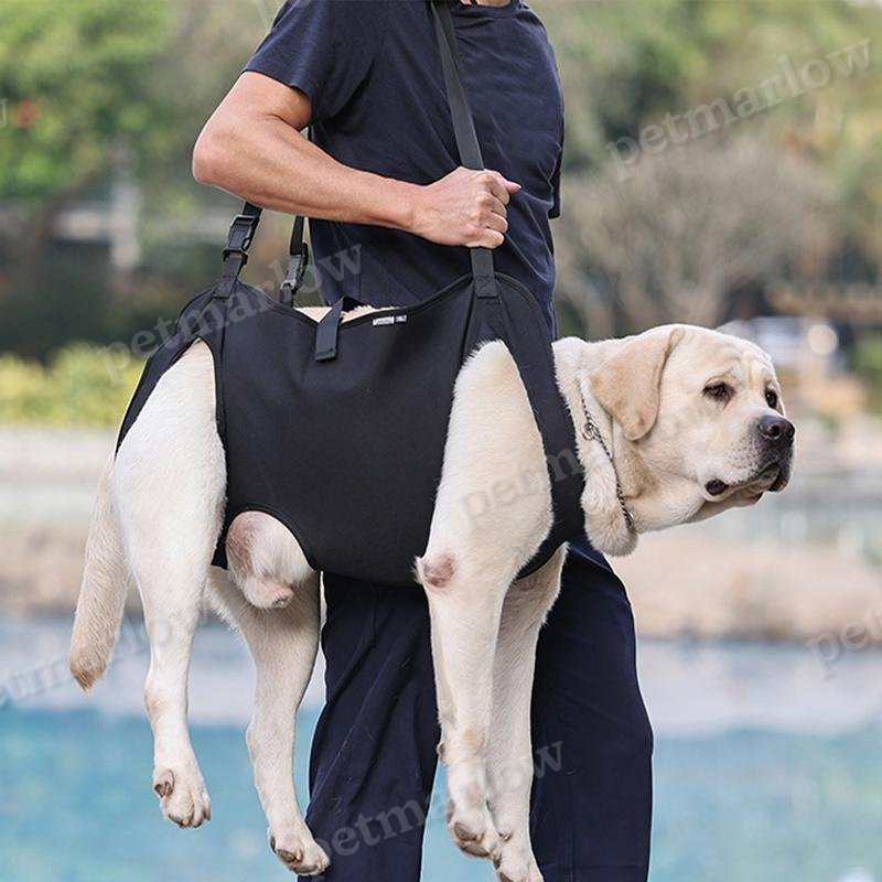 Dog Lift Harness For Large Dogs Sling Dog Walking Assistance Adjustable Pet Support Harness – view 2