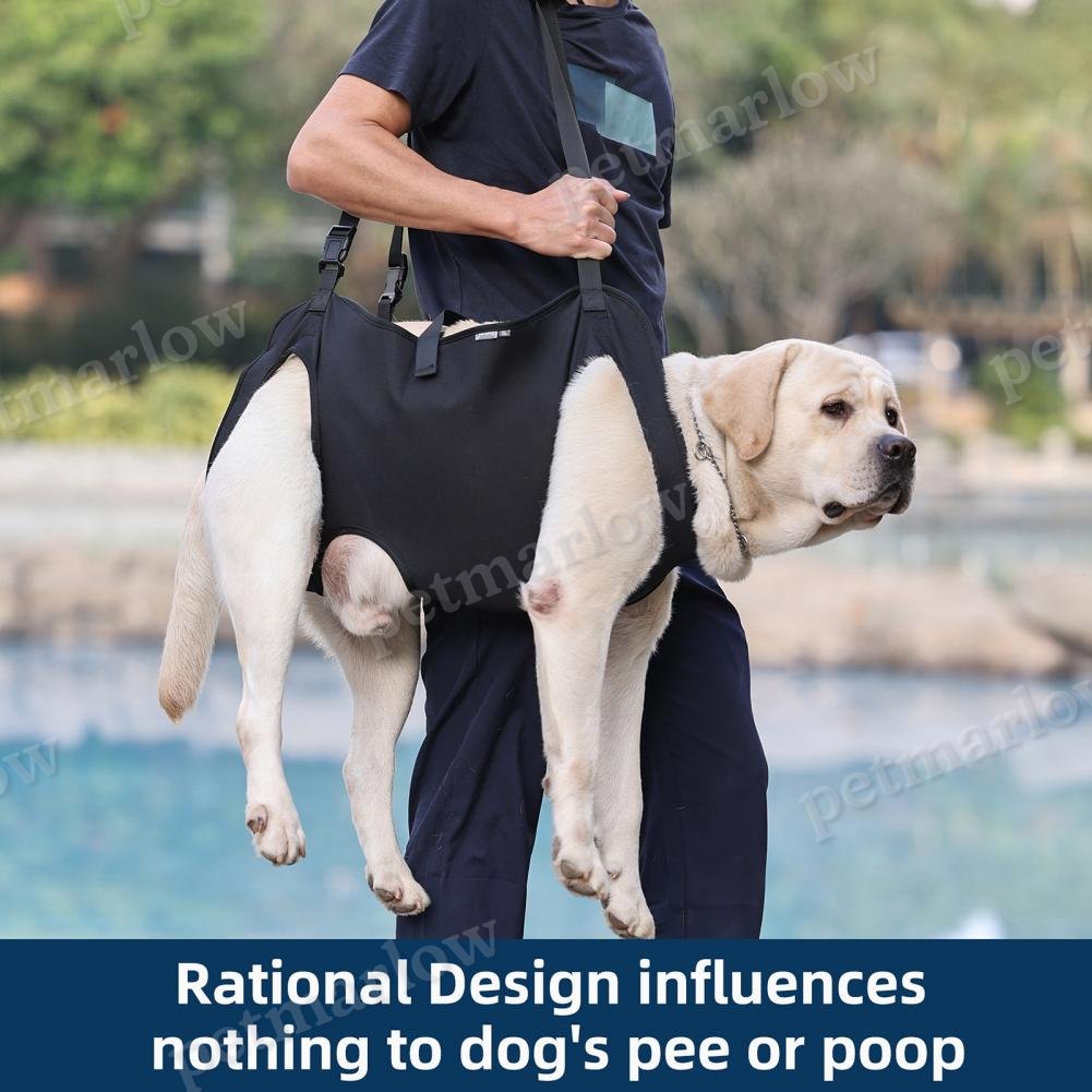 Dog Lift Harness For Large Dogs Sling Dog Walking Assistance Adjustable Pet Support Harness – view 4
