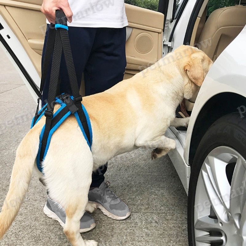 Dog Lift Harness For Large Dogs Soft Padded Adjustable Dog Back Leg Sling Dog Leg Support Harnesses – view 3