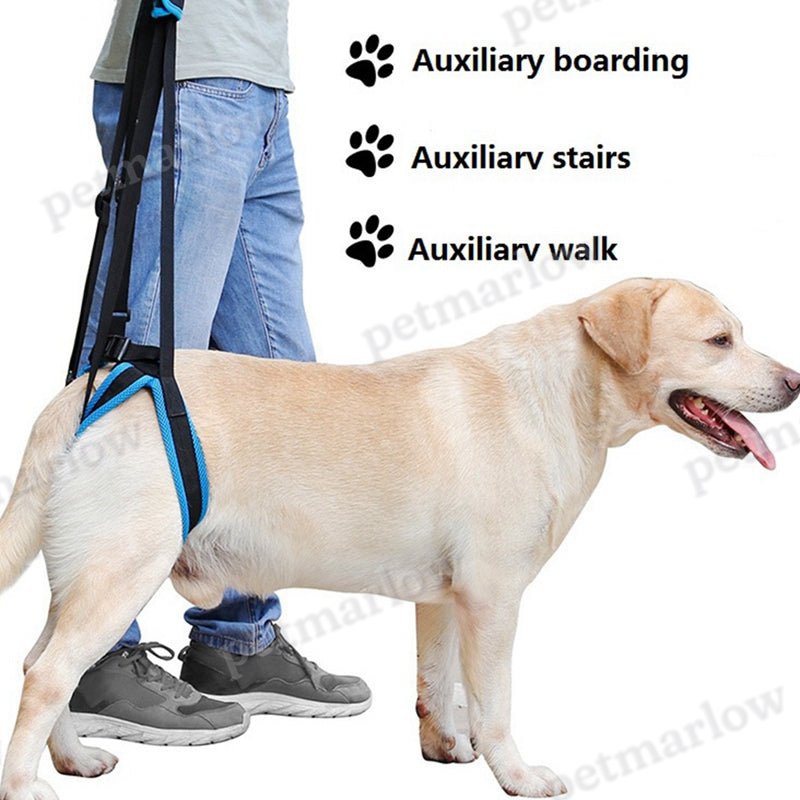 Dog Lift Harness For Large Dogs Soft Padded Adjustable Dog Back Leg Sling Dog Leg Support Harnesses – view 6