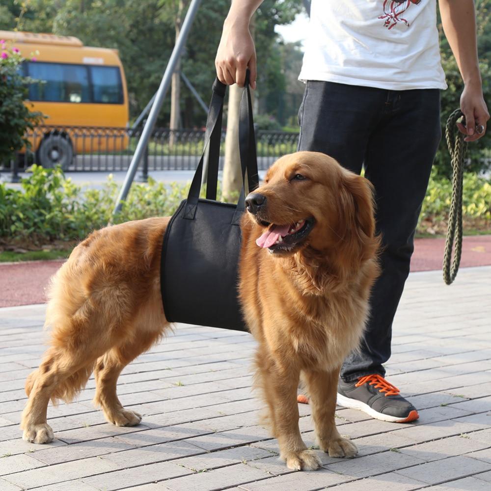 Dog Lift Support Aid Assist Sling – S