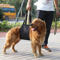 Dog Lift Support Aid Assist Sling – S