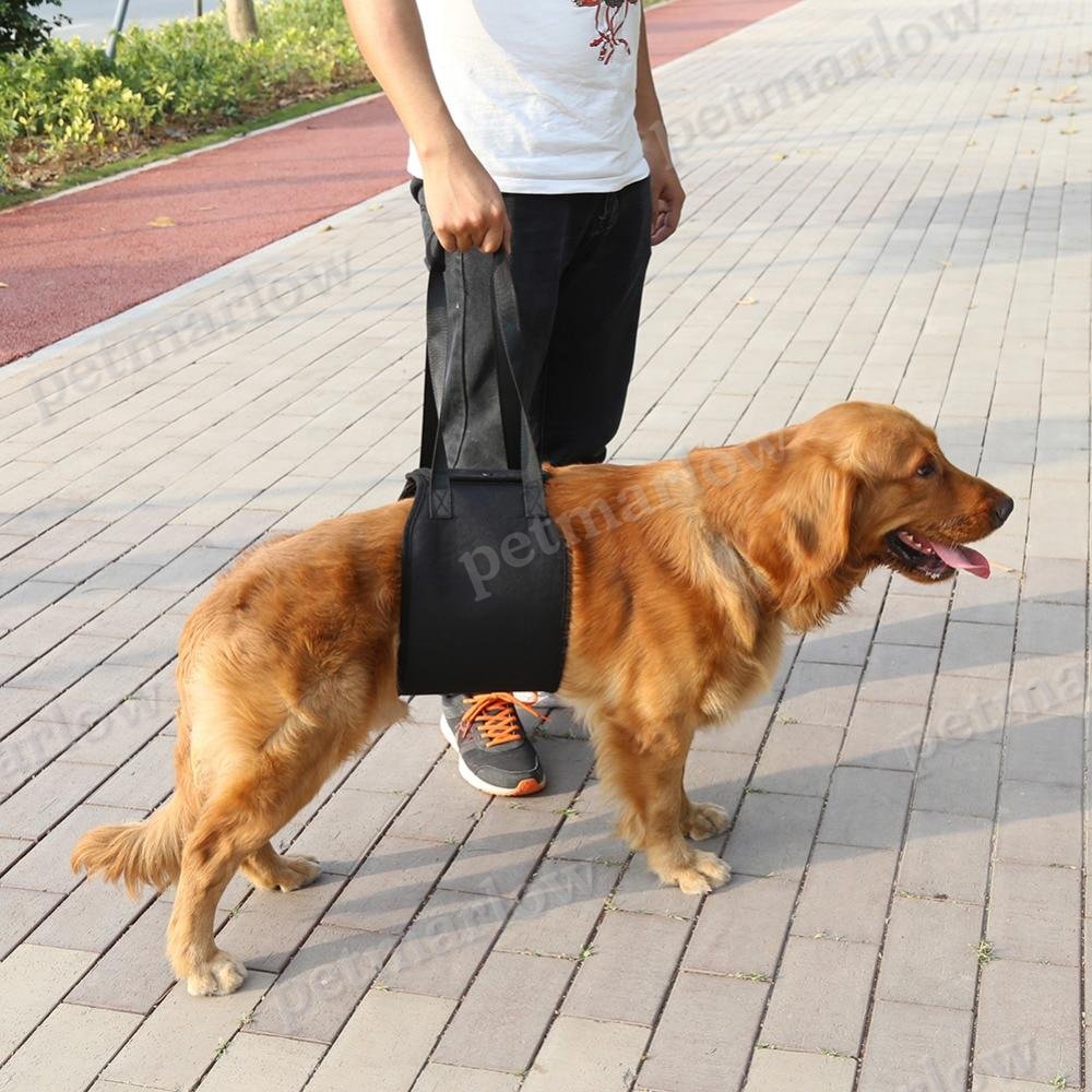 Dog Lift Support Aid Assist Sling – view 3