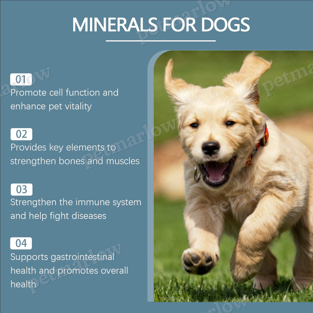 Dog Mineral Supplement Tablets for Appetite & Bone Health – view 2