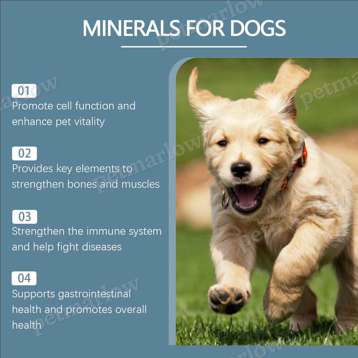 Dog Mineral Supplement Tablets for Appetite & Bone Health – view 2