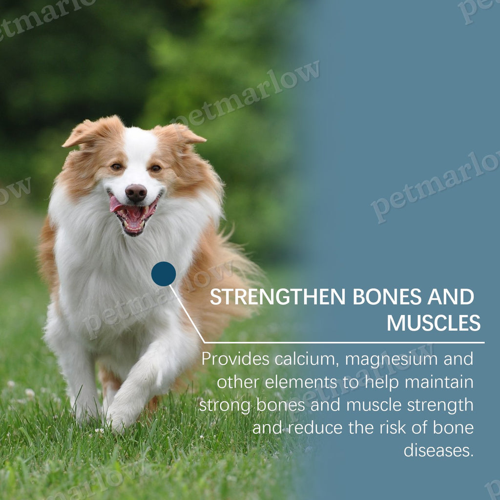 Dog Mineral Supplement Tablets for Appetite & Bone Health – view 3
