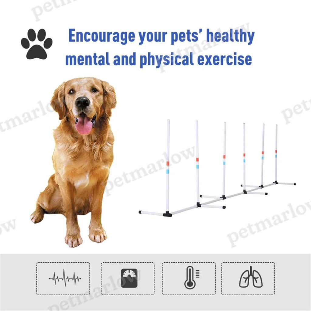 Dog Outdoor Exercise Training Set – view 3