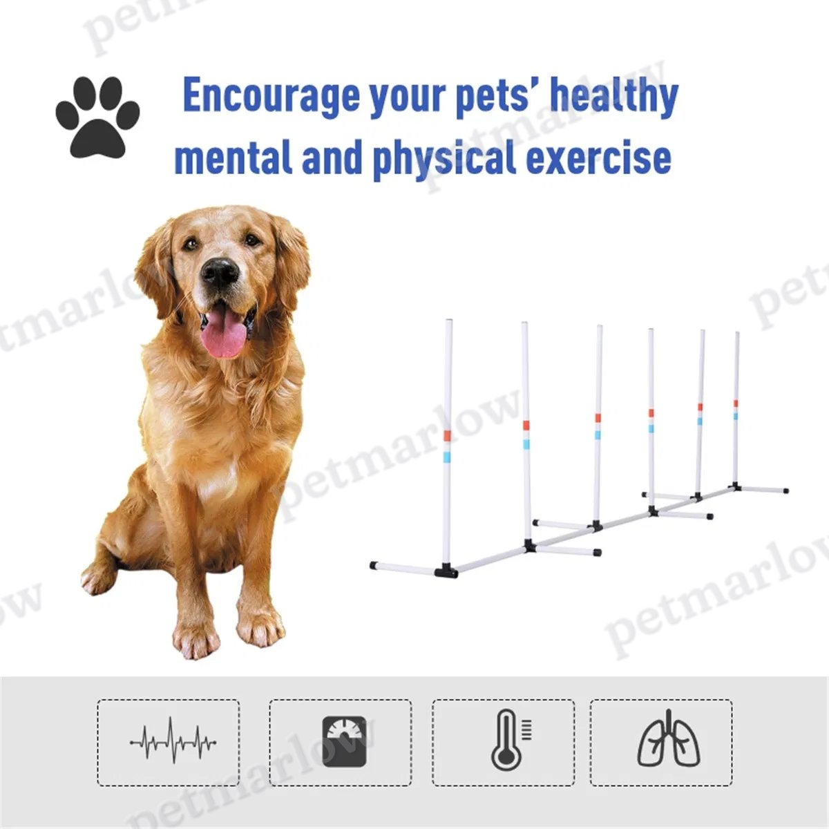 Dog Outdoor Exercise Training Set – view 3